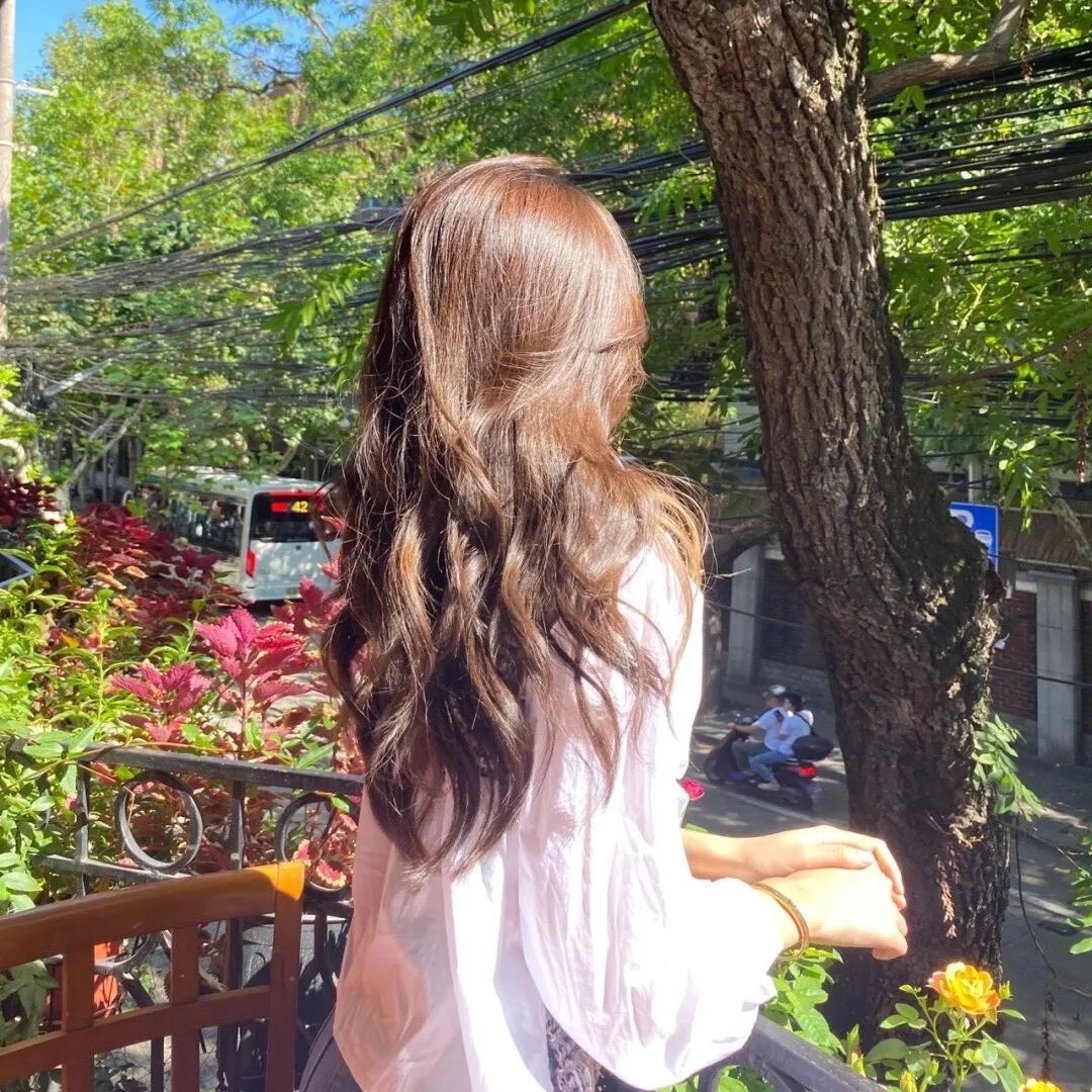 华丽一族海报