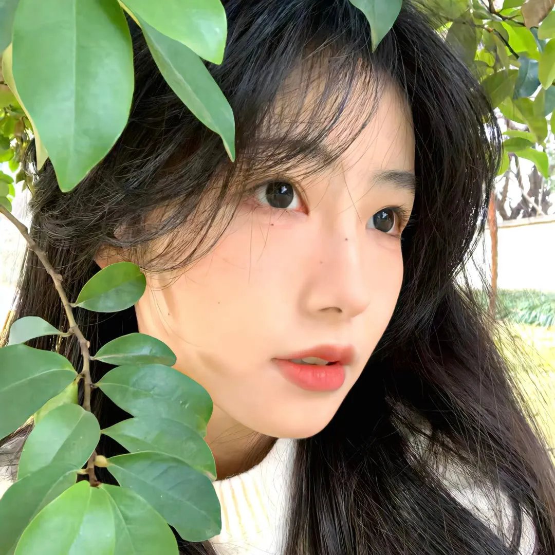 寻找苏珊海报